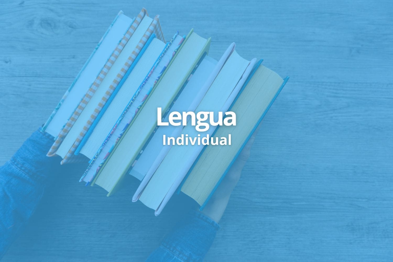 Lengua - Clase individual