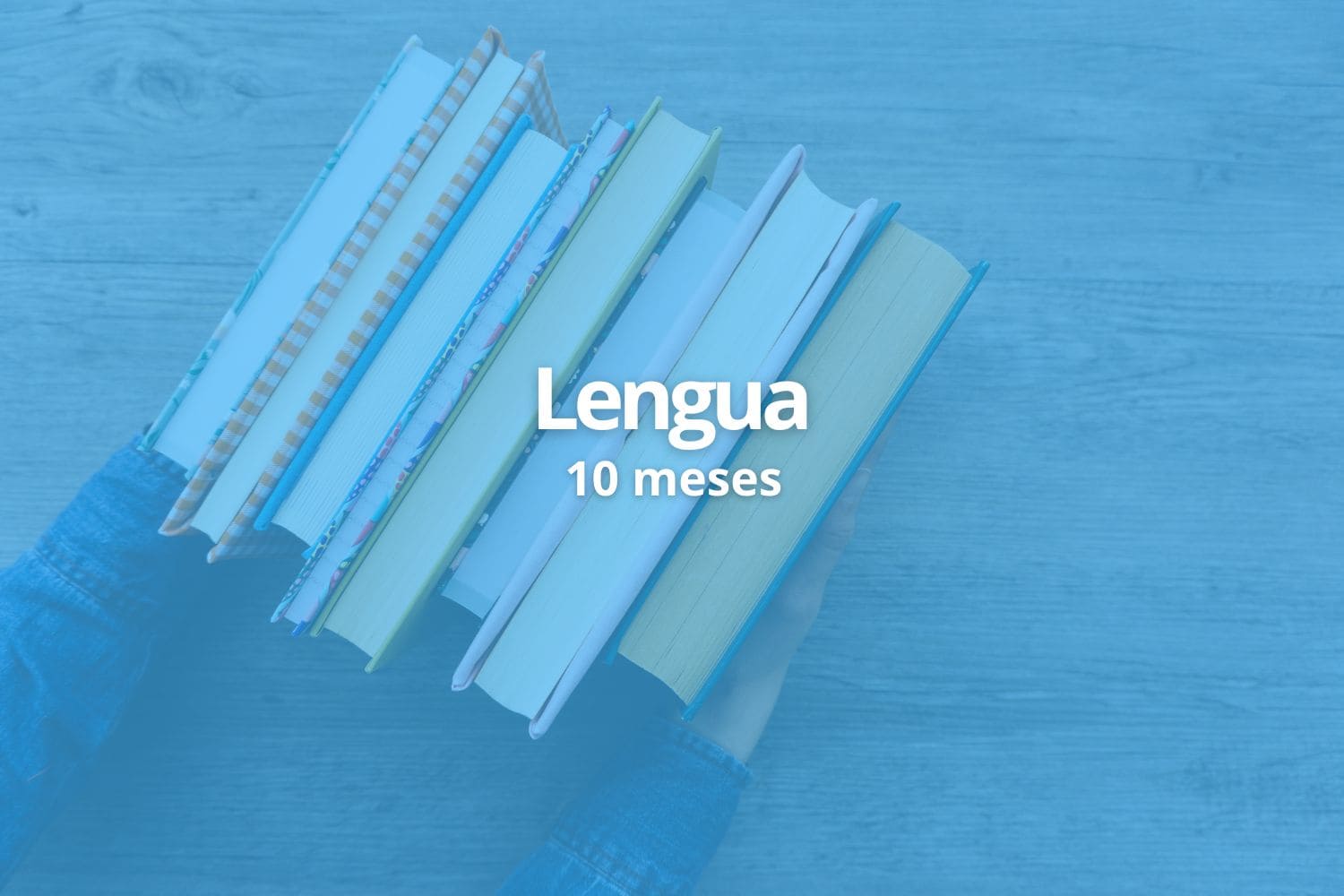 Lengua - 10 meses / año
